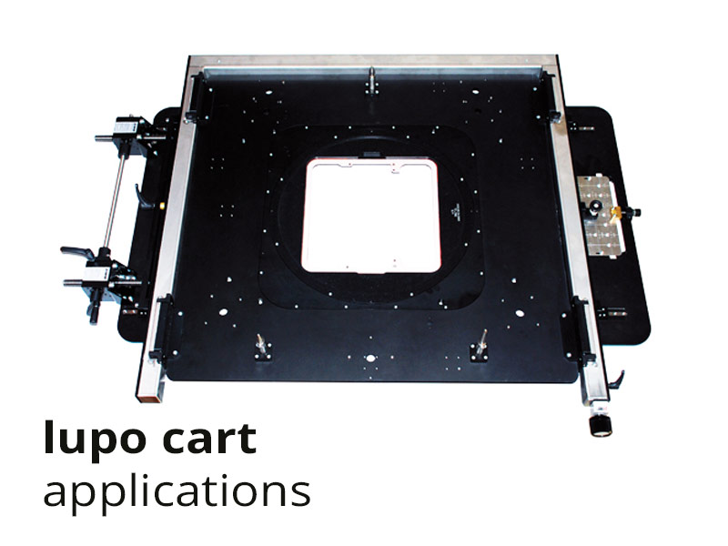 lupo cart applications: udp